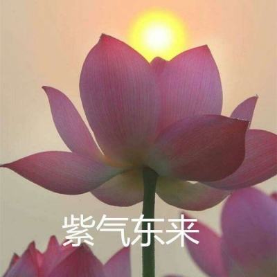 开心超人联盟守护游戏下载